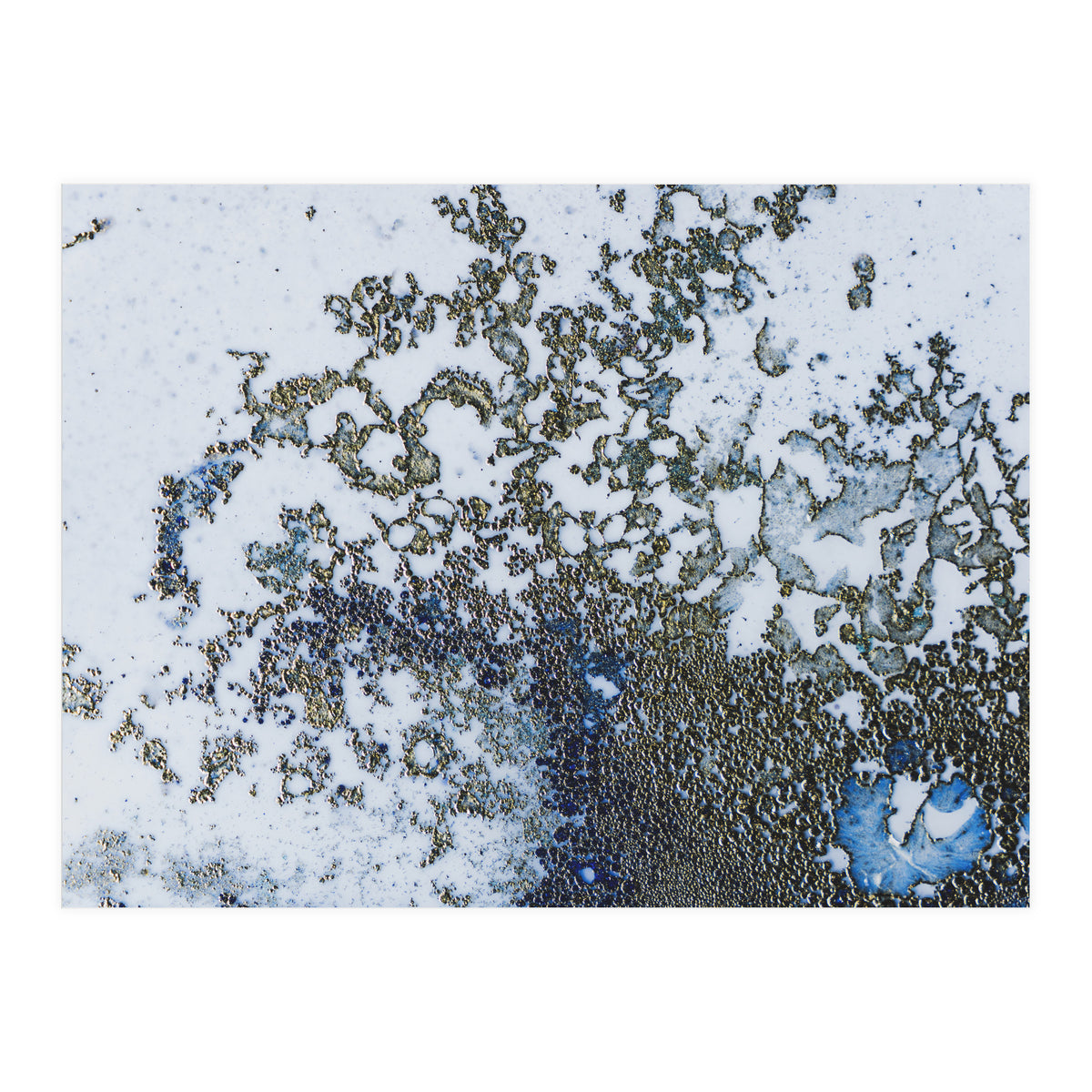 Coral Rising (Print Only)