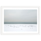 Seagulls in the winter snow beach thumbnail
