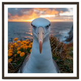 Albatross Bird With Intense Gaze By The Sea thumbnail