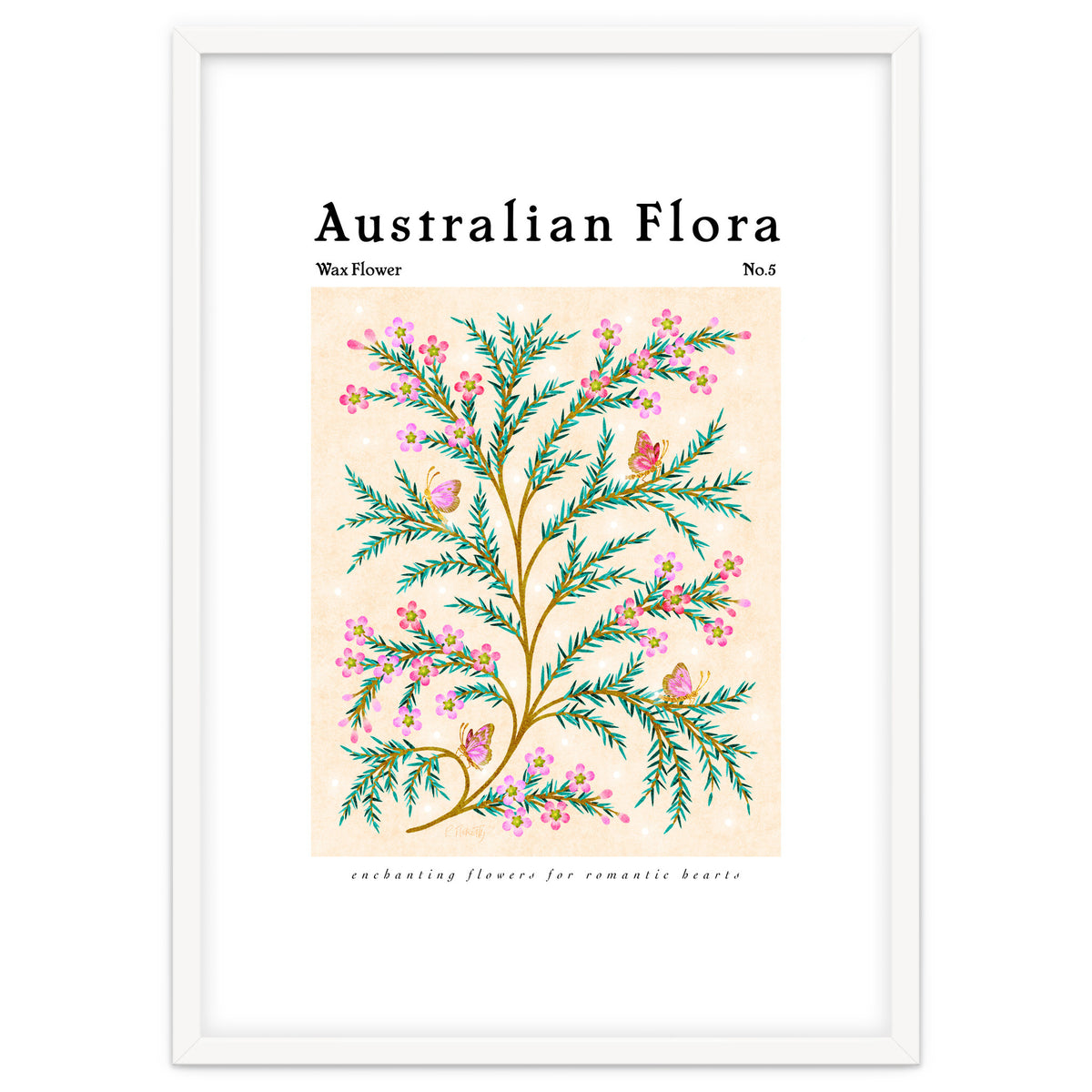 Australian Flora: Wax Flower