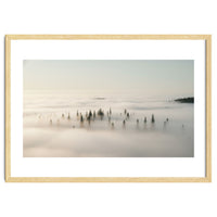 Misty Peaks: Pine Forest Above the Clouds