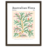 Australian Flora: Wax Flower thumbnail
