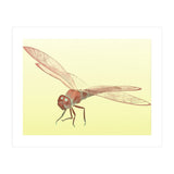 Wings of Transformation (Print Only) thumbnail