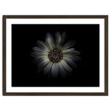 Backyard Flowers No 27 Color Version thumbnail