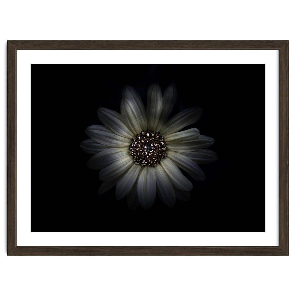 Backyard Flowers No 27 Color Version