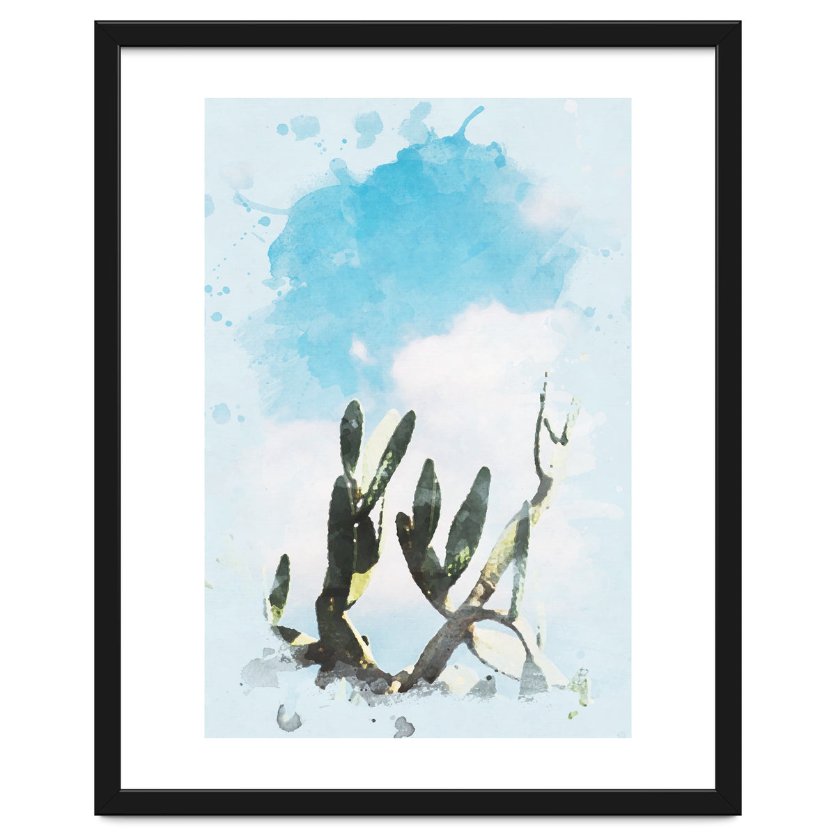 Cactus & Sky
