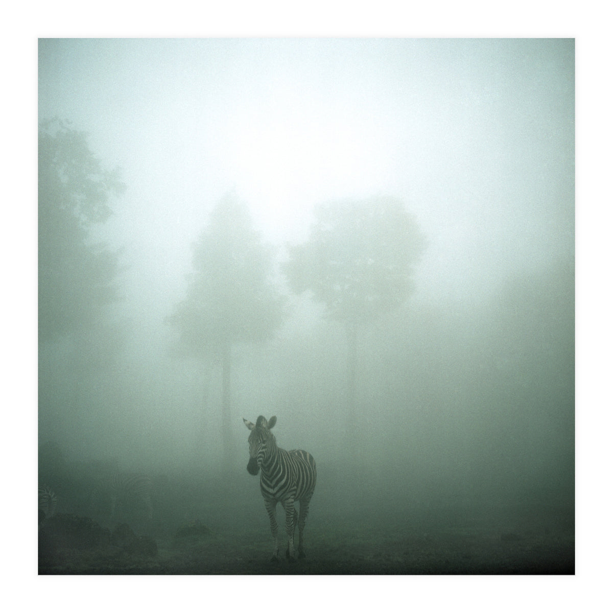 Silence of breath - 01 (Print Only)