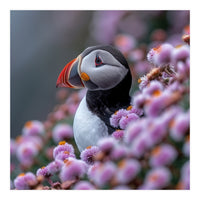 Atlantic Puffin Amidst Pink Heather Flowers (Print Only)