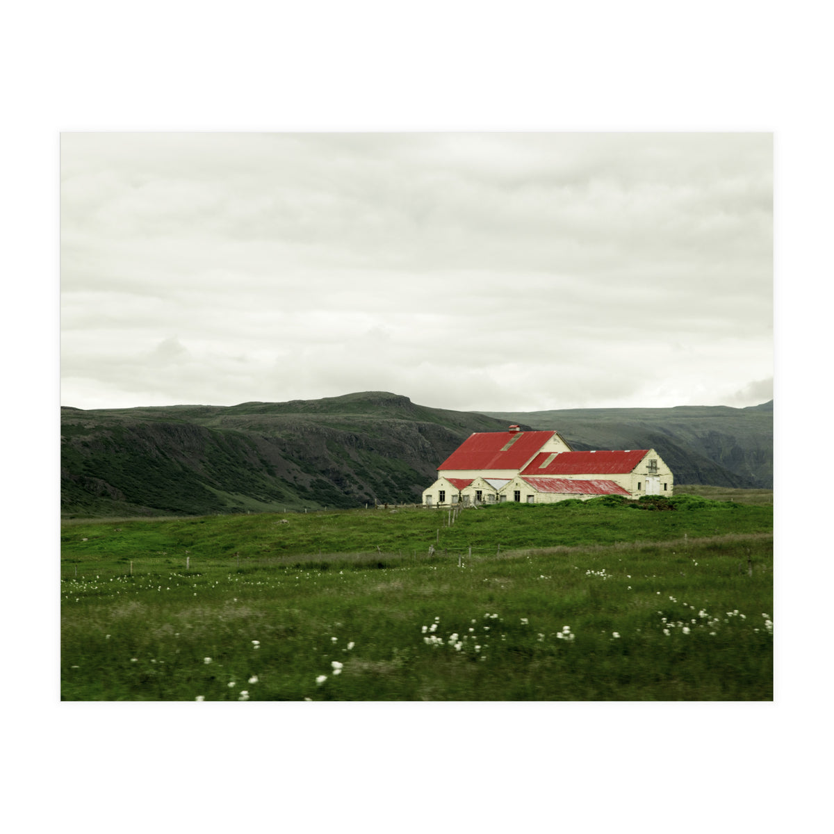 Red roof house in the greenfield - Iceland (Print Only)