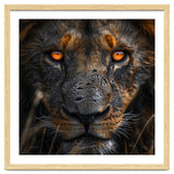 Majestic Lion Face Intense Orange Eyes Close Up thumbnail