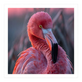 Pink Flamingo Bird Close Up Portrait (Print Only) thumbnail