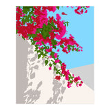 Bougainvillea Blossom, Greece Tropical Summer Travel, Santorini Architecture White Buildings Floral Nature Garden (Print Only) thumbnail