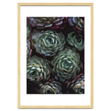 Succulent Plant Ii thumbnail