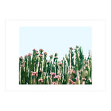 Blush Cactus #society6 #decor #buyart (Print Only) thumbnail