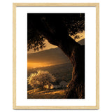 The Hill thumbnail