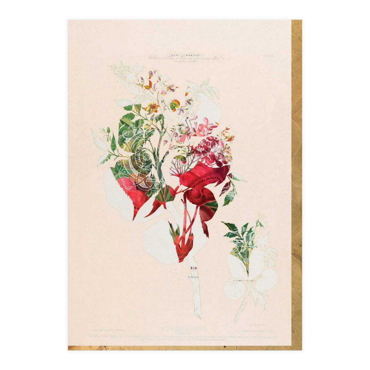 The First Plant · Aufbluehen (Print Only)