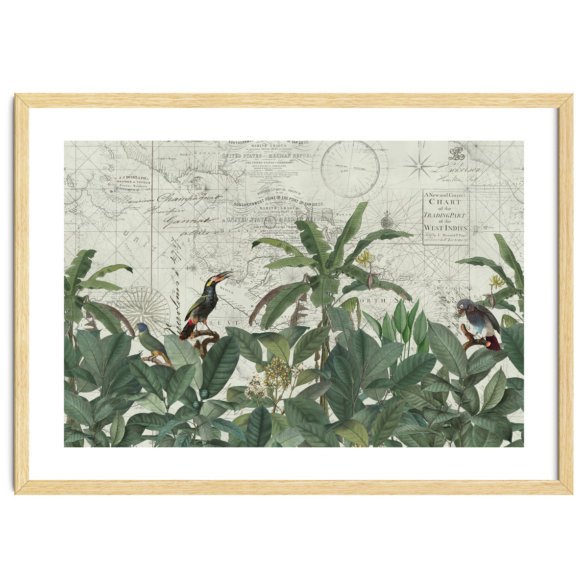 Explore The New World