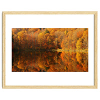 Autumn Reflections