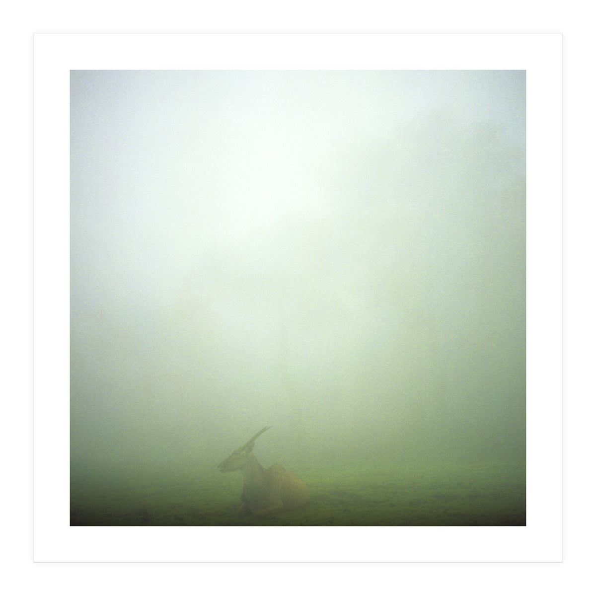 Silence of breath - 06 (Print Only)