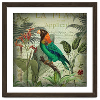 Tropical Bird Nostalgia