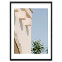 Mediterranean House With Palm