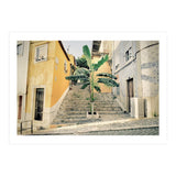 Lisbon Palm Tree (Print Only) thumbnail