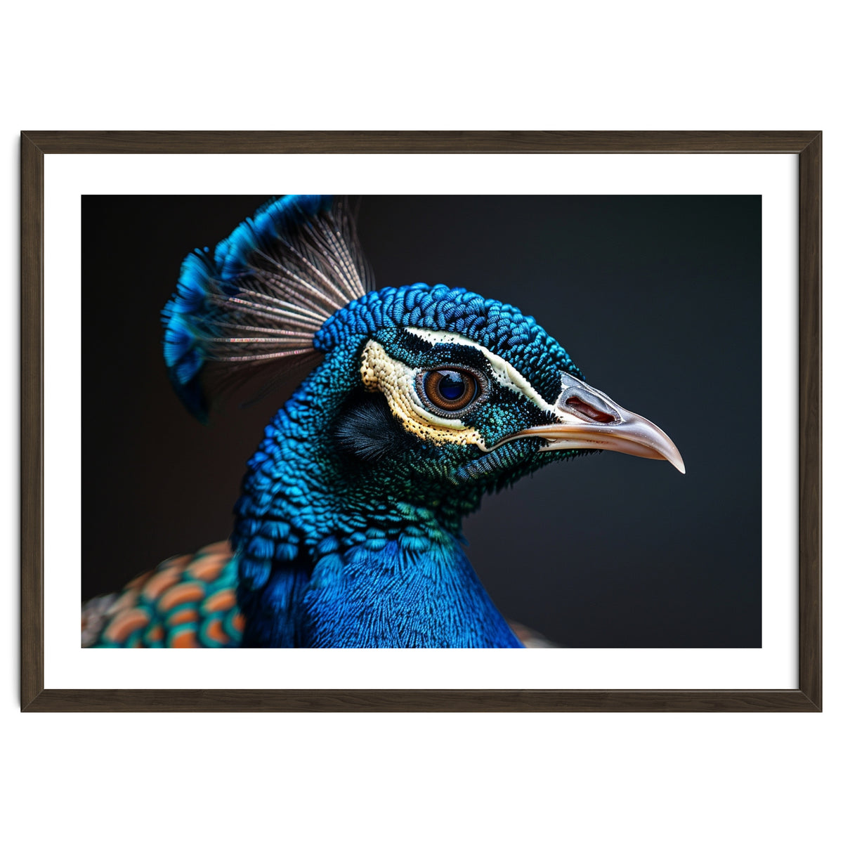Close Up Peacock Head Blue Green Feather