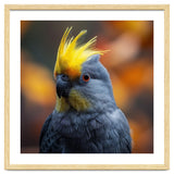 Close-up Portrait of a Yellow Cockatoo in the Wild. thumbnail