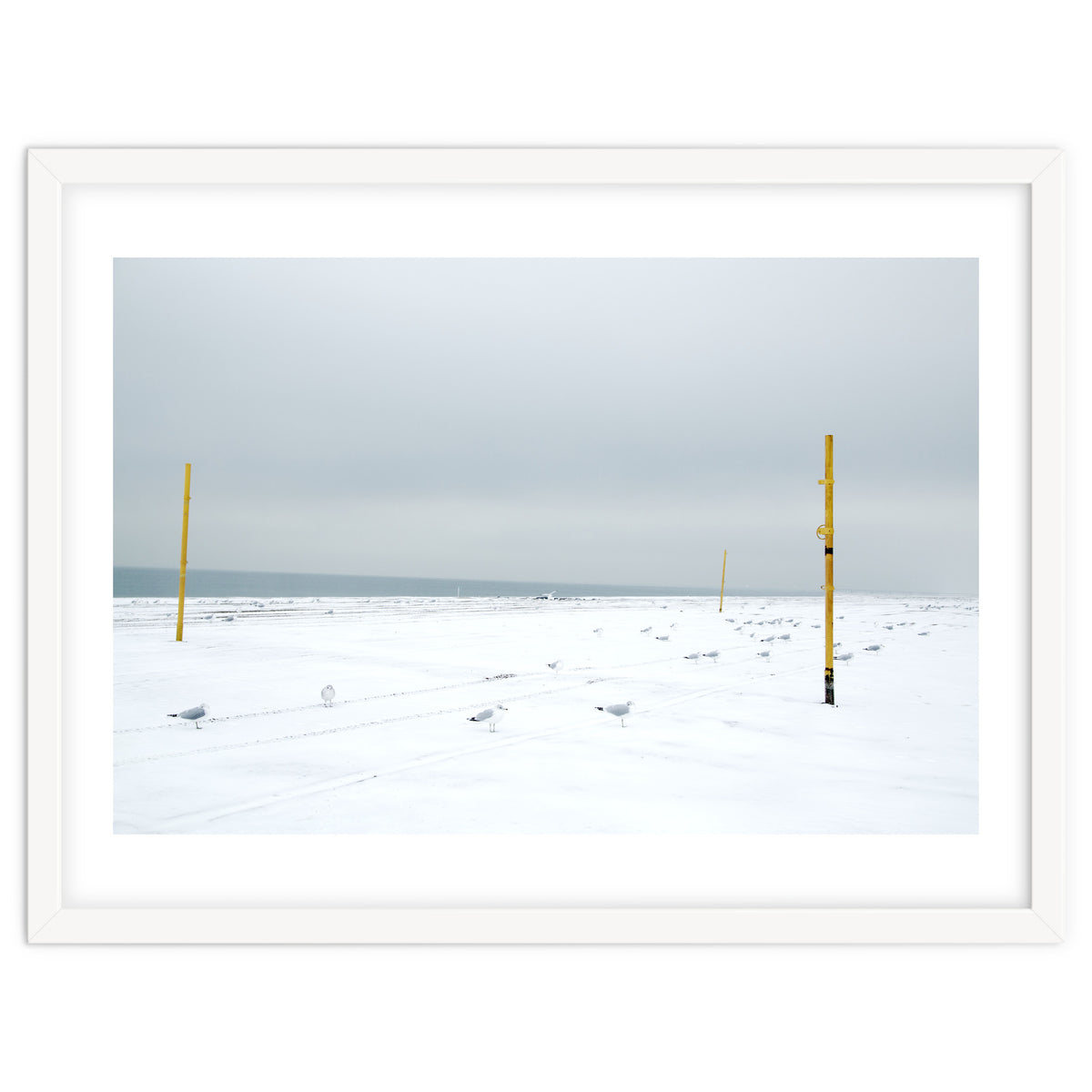 Seagulls in between the volleyball poles in winter snow beach