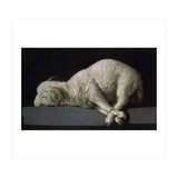 Agnus Dei - ca.1635-40 - oil on canvas - 37,3 x 62 cm - Spanish Baroque - NP 7293. (Print Only) thumbnail