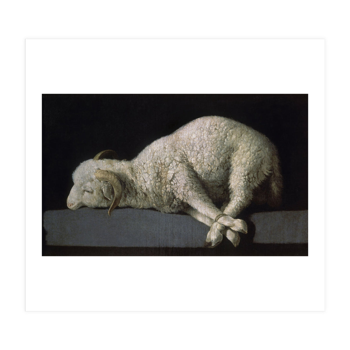 Agnus Dei - ca.1635-40 - oil on canvas - 37,3 x 62 cm - Spanish Baroque - NP 7293. (Print Only)