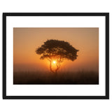 Tree at sunrise thumbnail