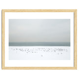 Seagulls in the winter snow beach thumbnail