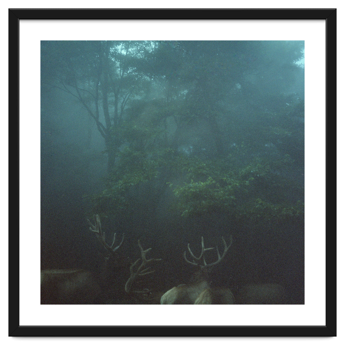 Silence of breath - 12