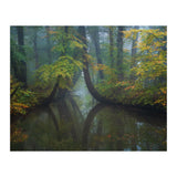 The bent trees (Print Only) thumbnail