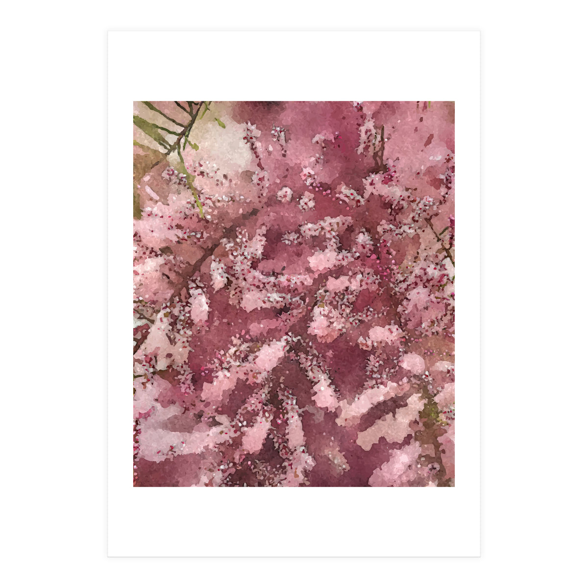 Pink Blossom (Print Only)