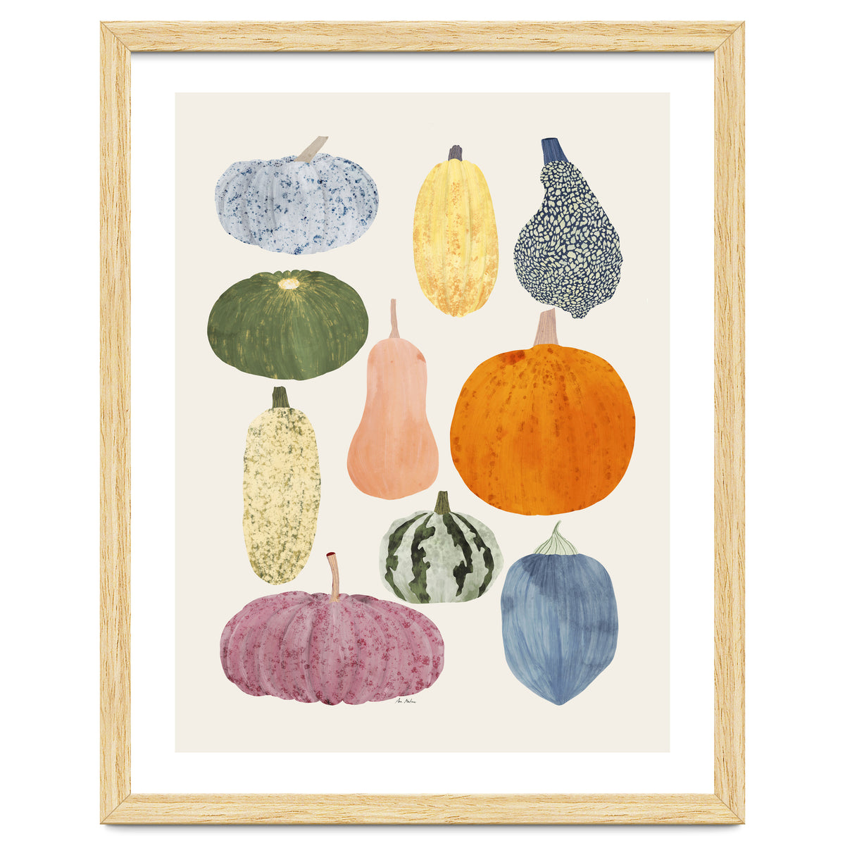 Still Life Of Pumpkins