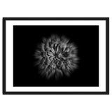 Backyard Flowers In Black And White No 48 Flow Version thumbnail