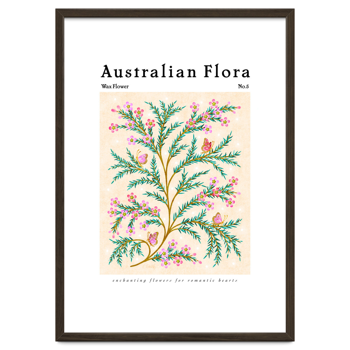 Australian Flora: Wax Flower