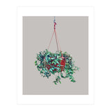 Hanging Plant (Print Only) thumbnail