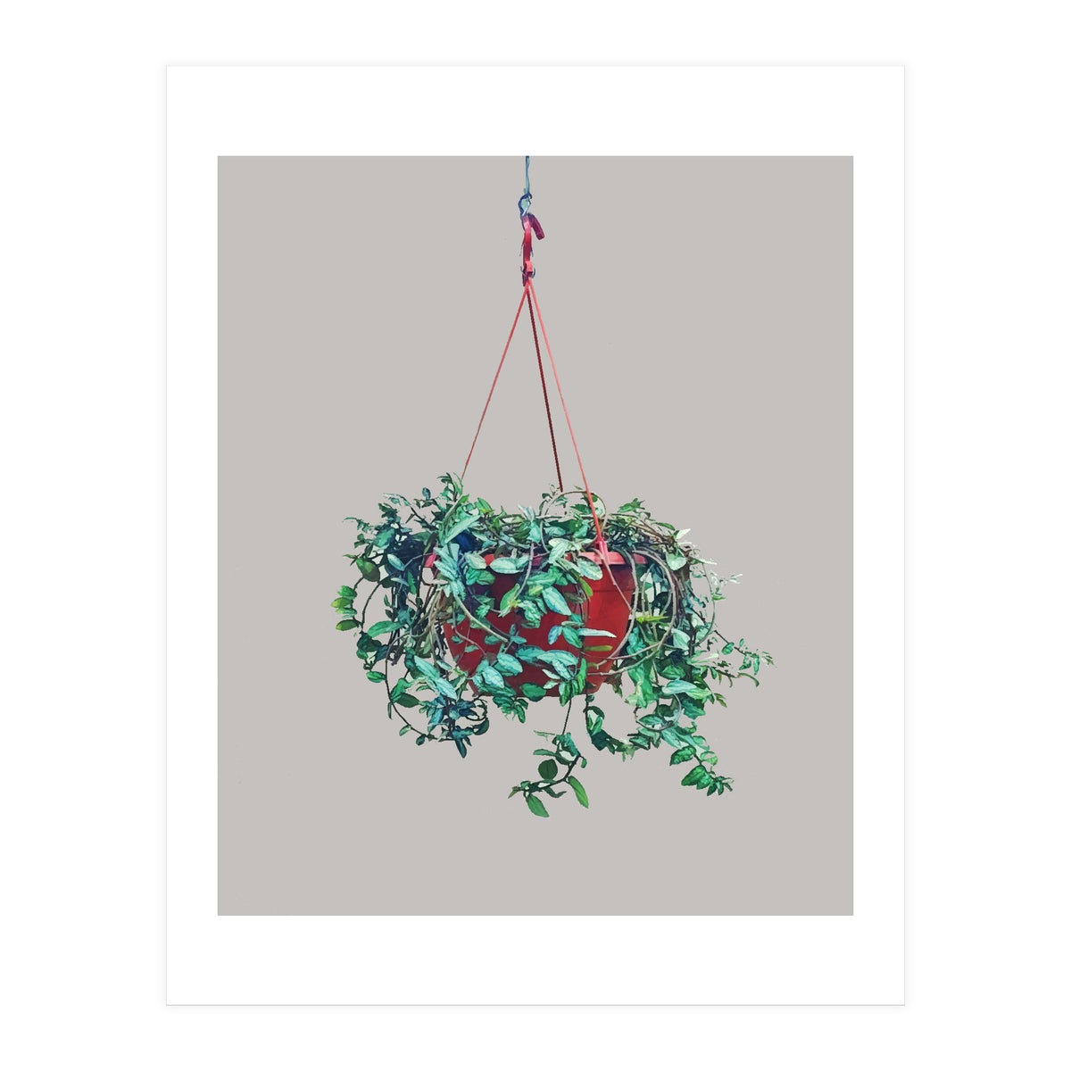 Hanging Plant (Print Only)