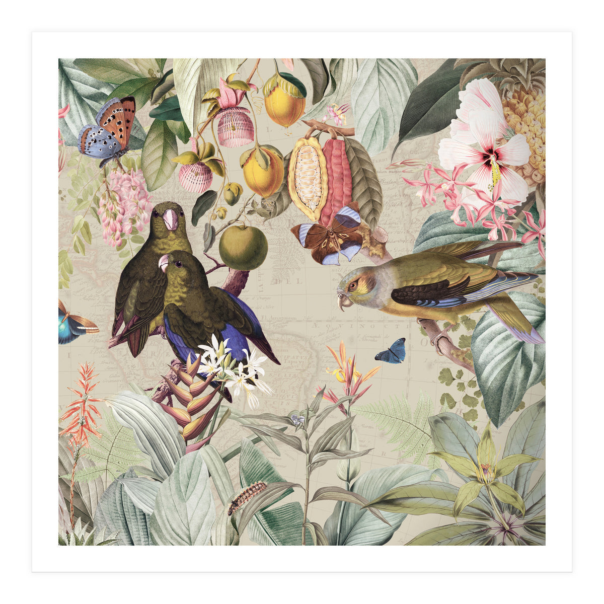 Colorful Parrots And Butterflies In Flower And Fruit Tropical Jungle (Print Only)
