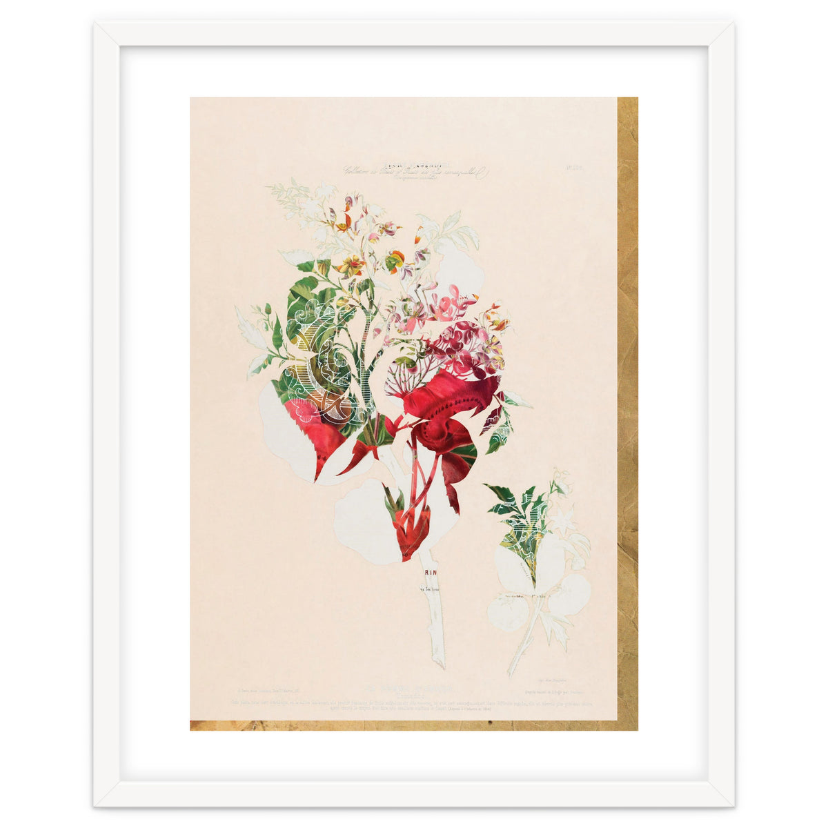 The First Plant · Aufbluehen