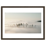 Misty Peaks: Pine Forest Above the Clouds thumbnail