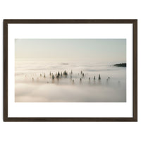 Misty Peaks: Pine Forest Above the Clouds