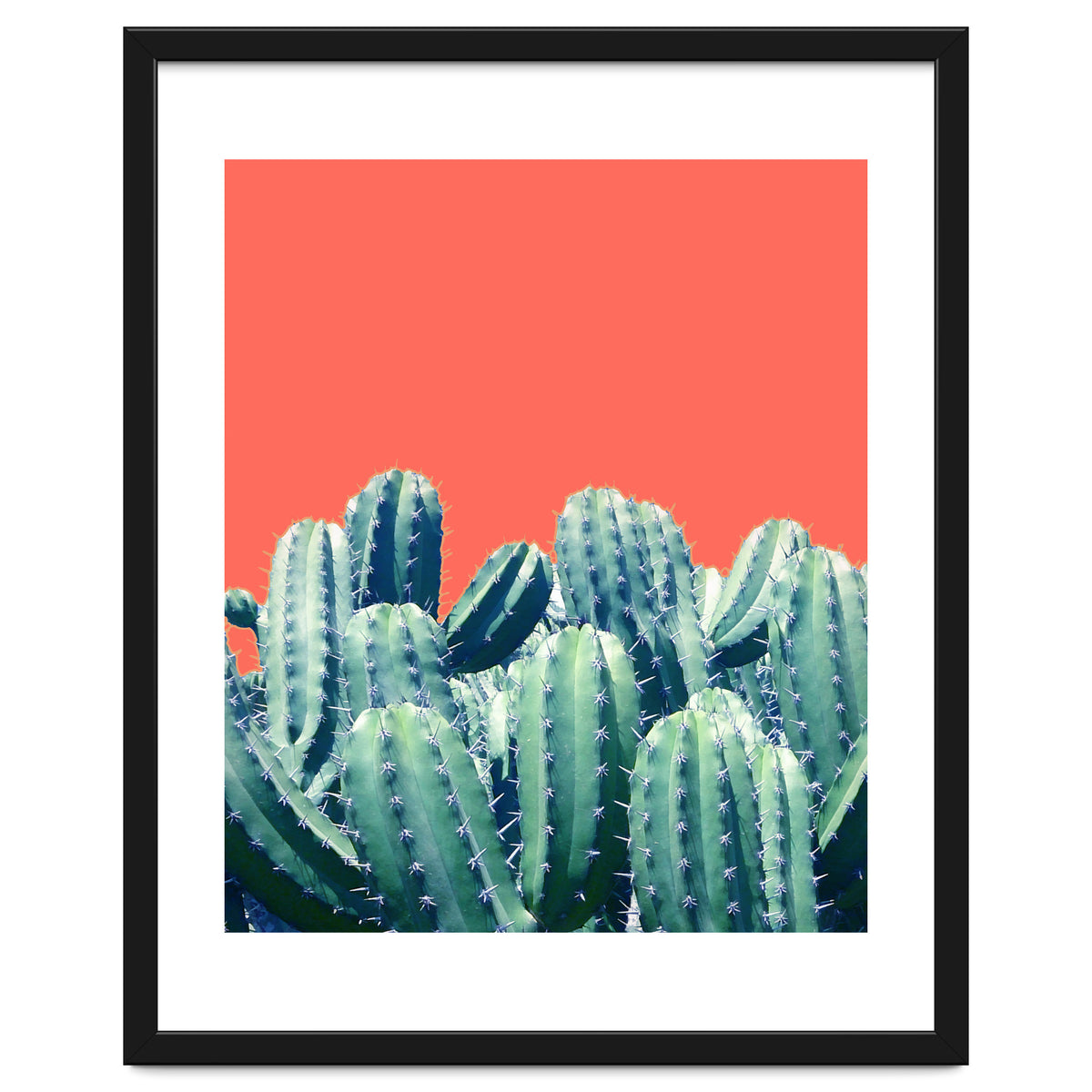 Cactus On Coral