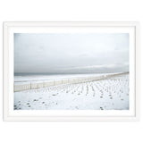 Winter grass in snow beach thumbnail