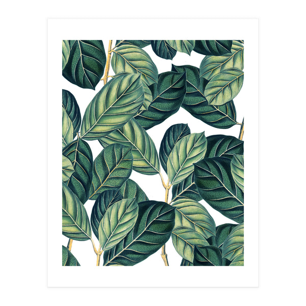 Botany #society6 #decor #buyart (Print Only)