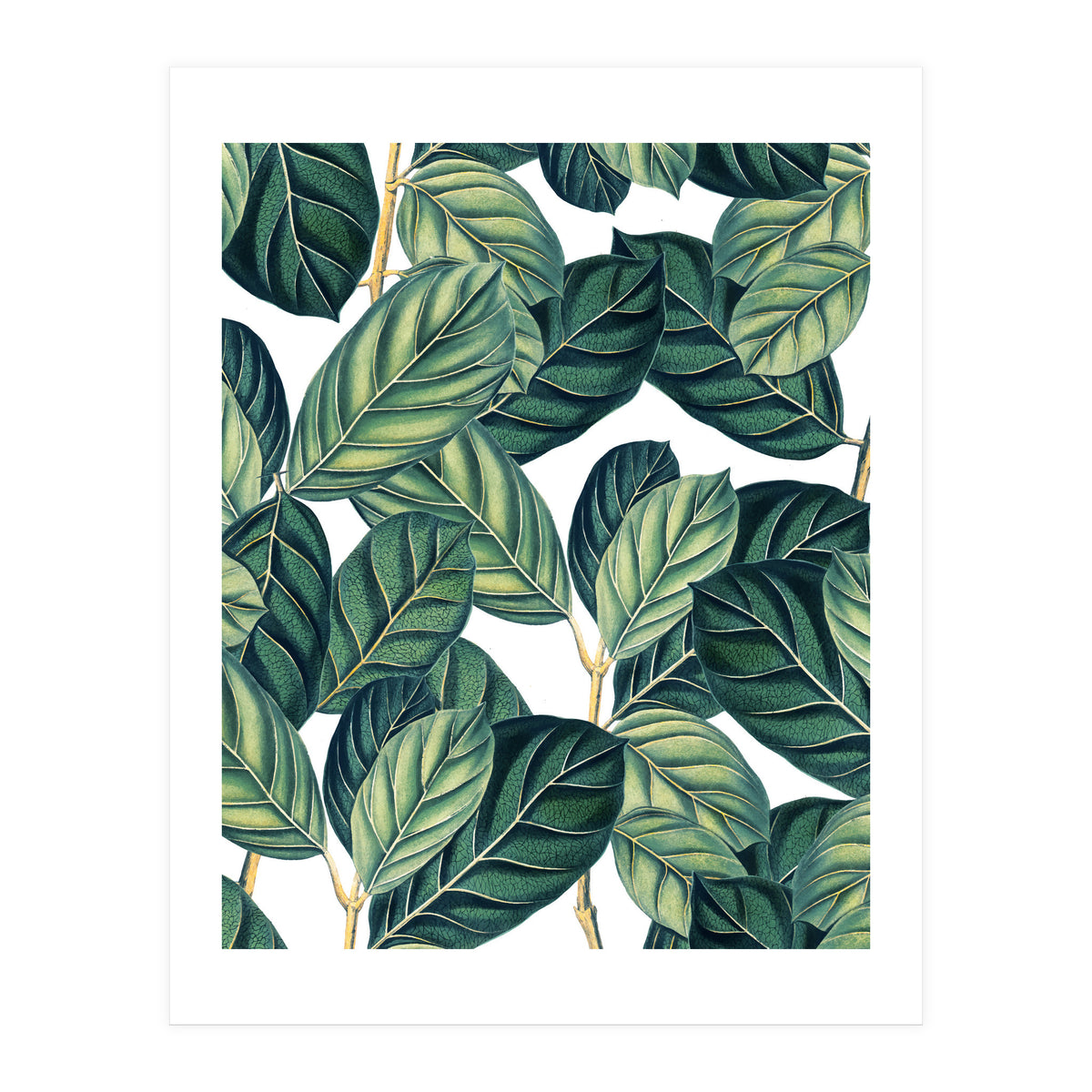 Botany #society6 #decor #buyart (Print Only)