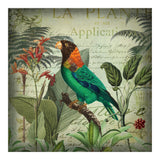 Tropical Bird Nostalgia  (Print Only) thumbnail